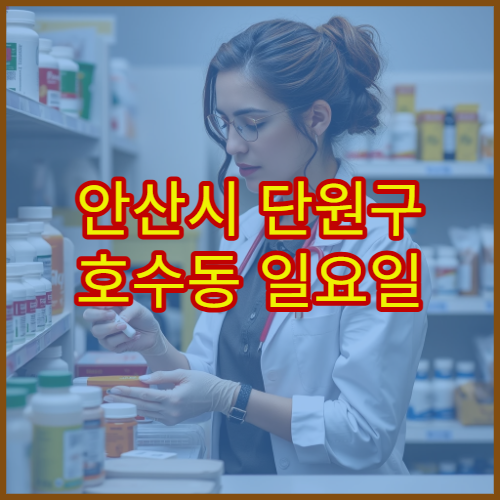 안산시 단원구 호수동 일요일 약국 문 연 곳 확인 및 영업시간 안내