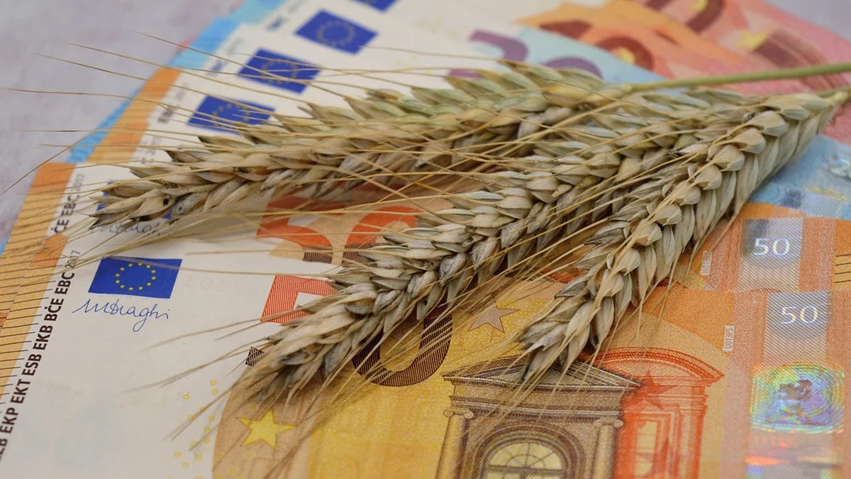 물가 상승 시 장보기 비용 관리법과 소비 패턴 변화 이해