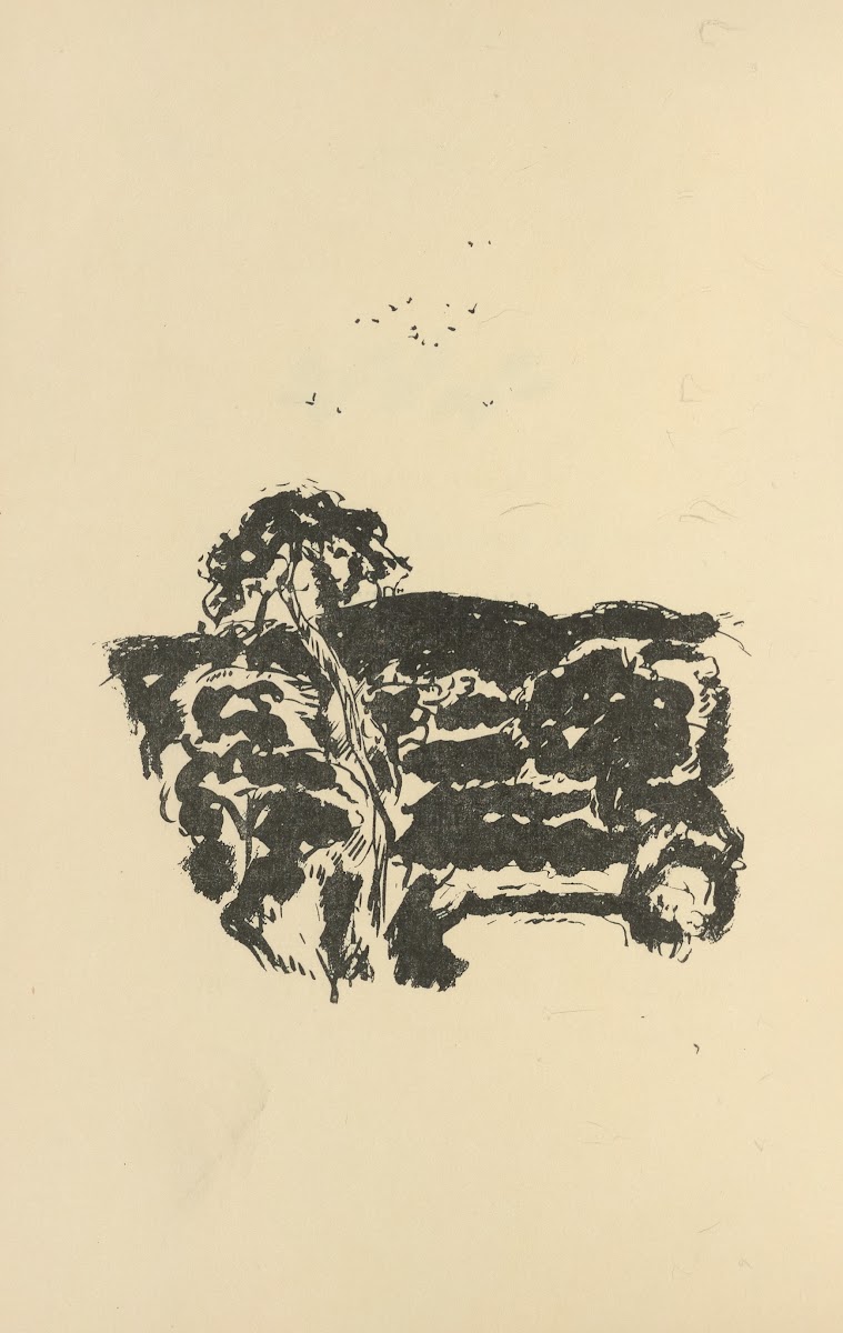 Histoires naturelles Pl 57 1922
