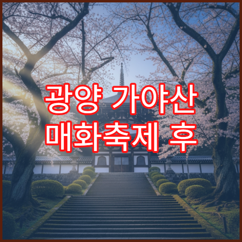 광양 가야산 매화축제 후 벚꽃 무료 셔틀버스 시간표와 이용법