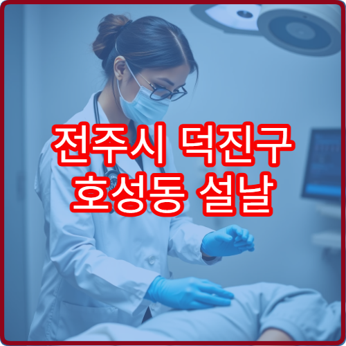 전주시 덕진구 호성동 설날 안과 진료 병원 운영시간 총정리