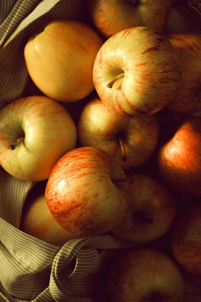 노화 예방을 위한 일일 영양 섭취 기준과 관리법