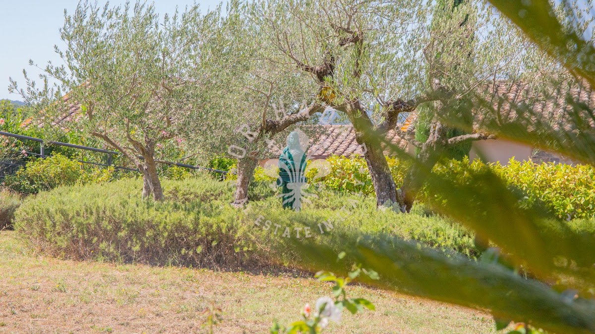 בלוודרה די פוקאיולה אלטה (Belvedere di Focaiole Alta) — 51
