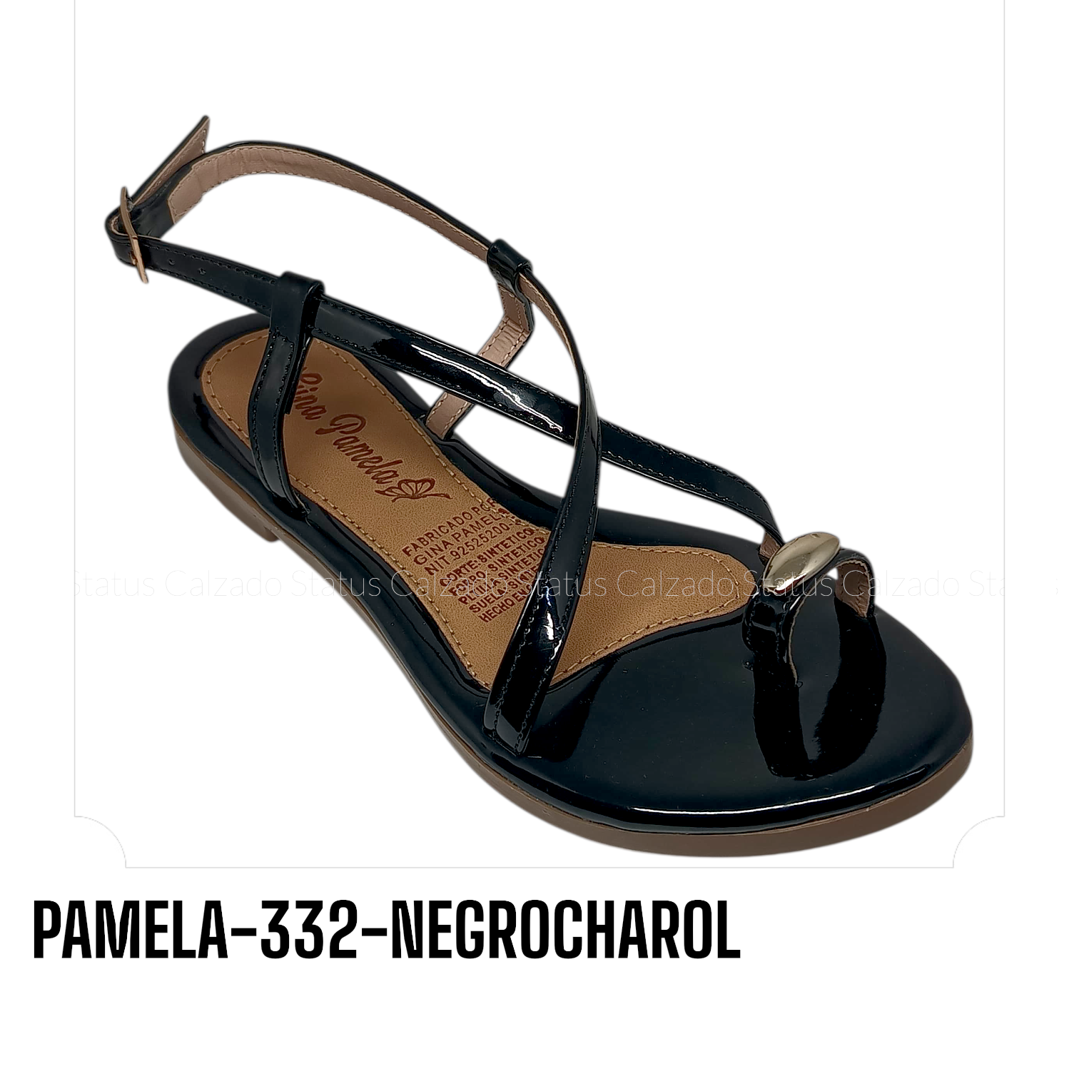 PAMELA-332-NEGROCHAROL