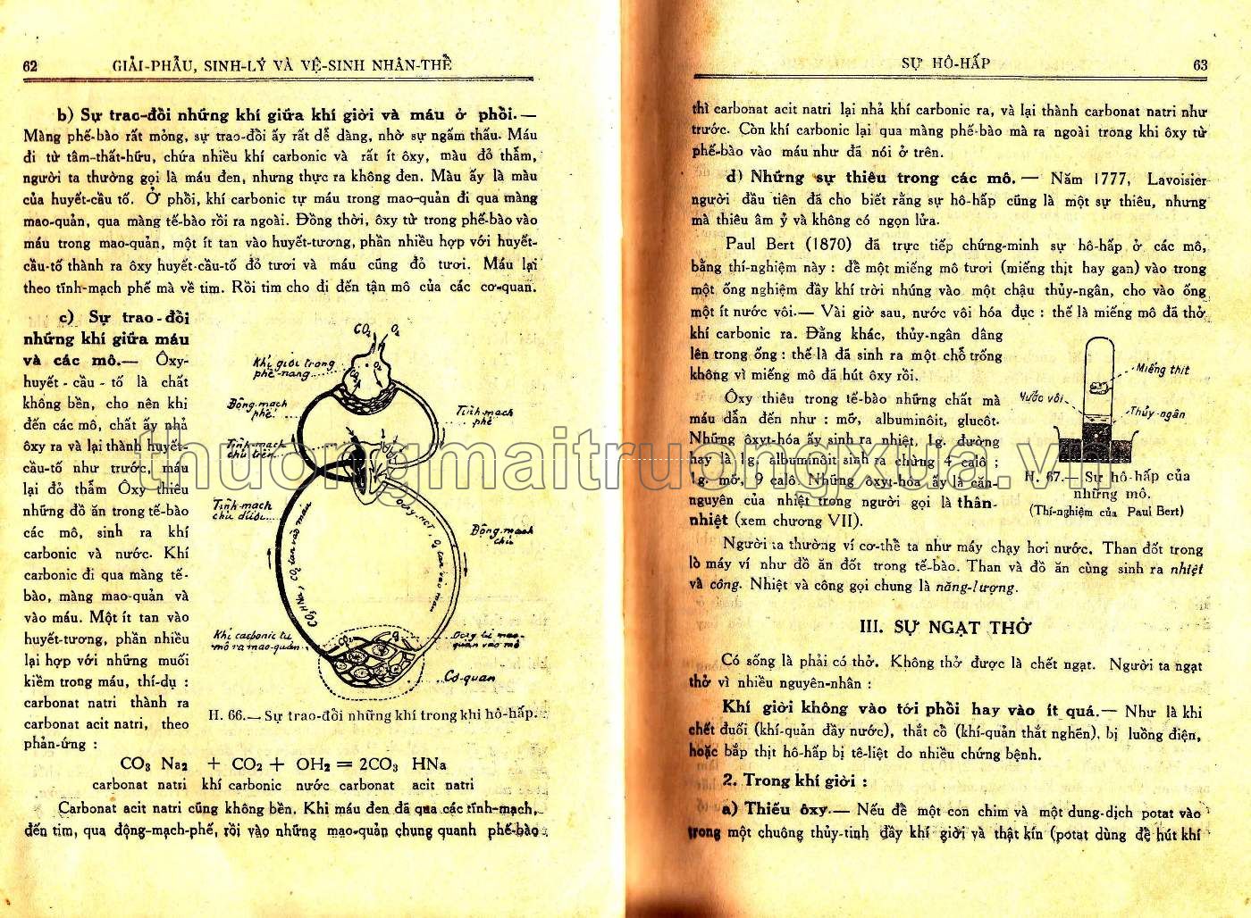 Vạn vật học lớp đệ tứ (1959) - Trang 33