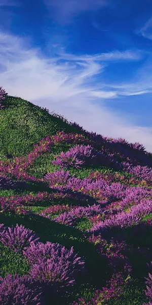 The Hills  Nature 4K Wallpaper Background