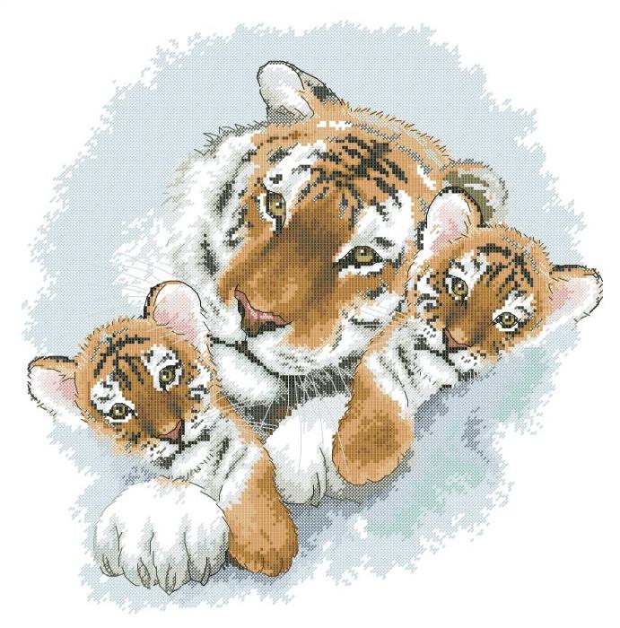 CMP Little Cubs