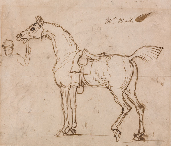 A Racehorse Bridled and Saddled