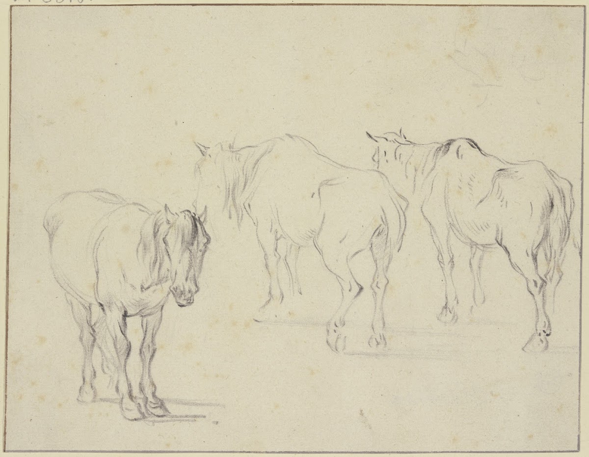 Three old horses
