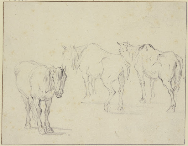 Three old horses