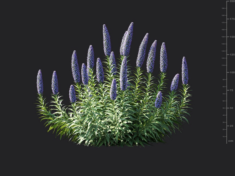 Maxtree - Plant Models Vol.115