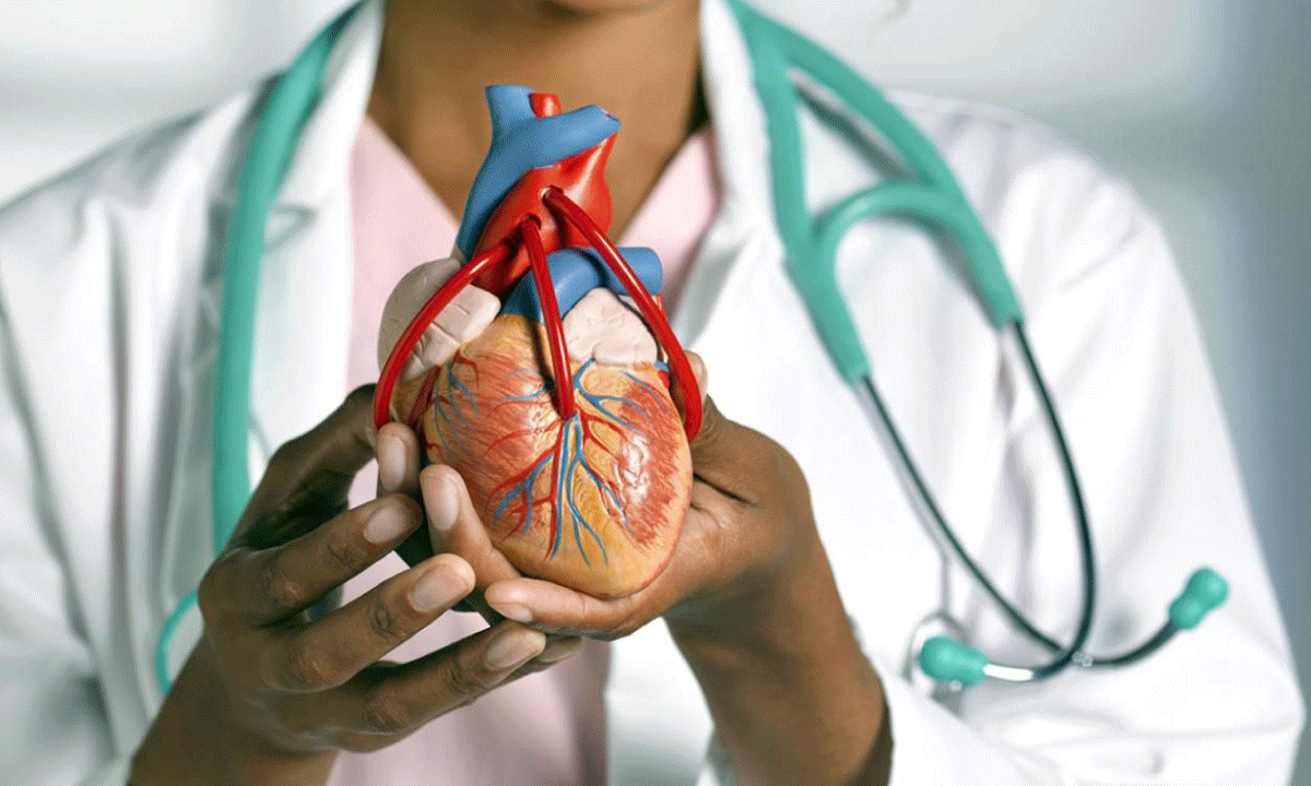Enfermería en cardiología abre nuevas rutas laborales con alta especialización y demanda en sistemas de salud modernos