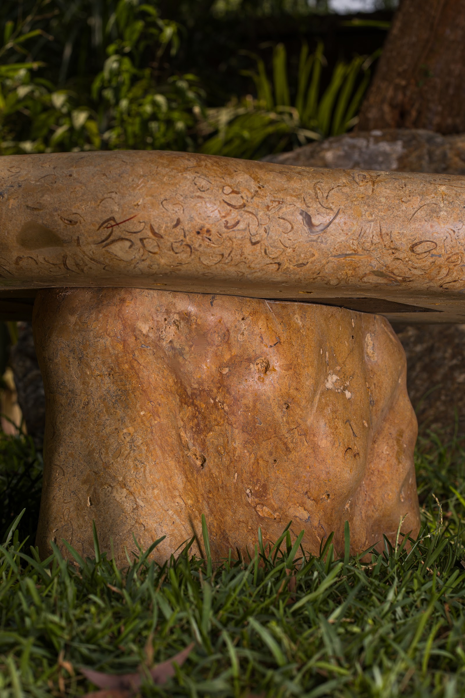 Coquina Rock Bench Series, studio view 2