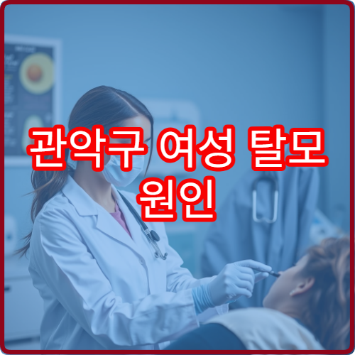 관악구 여성 탈모 원인 검사와 호르몬 균형 치료 상담 병원 정보