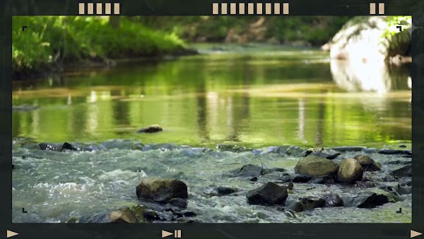 Video thumbnail từ Google Drive