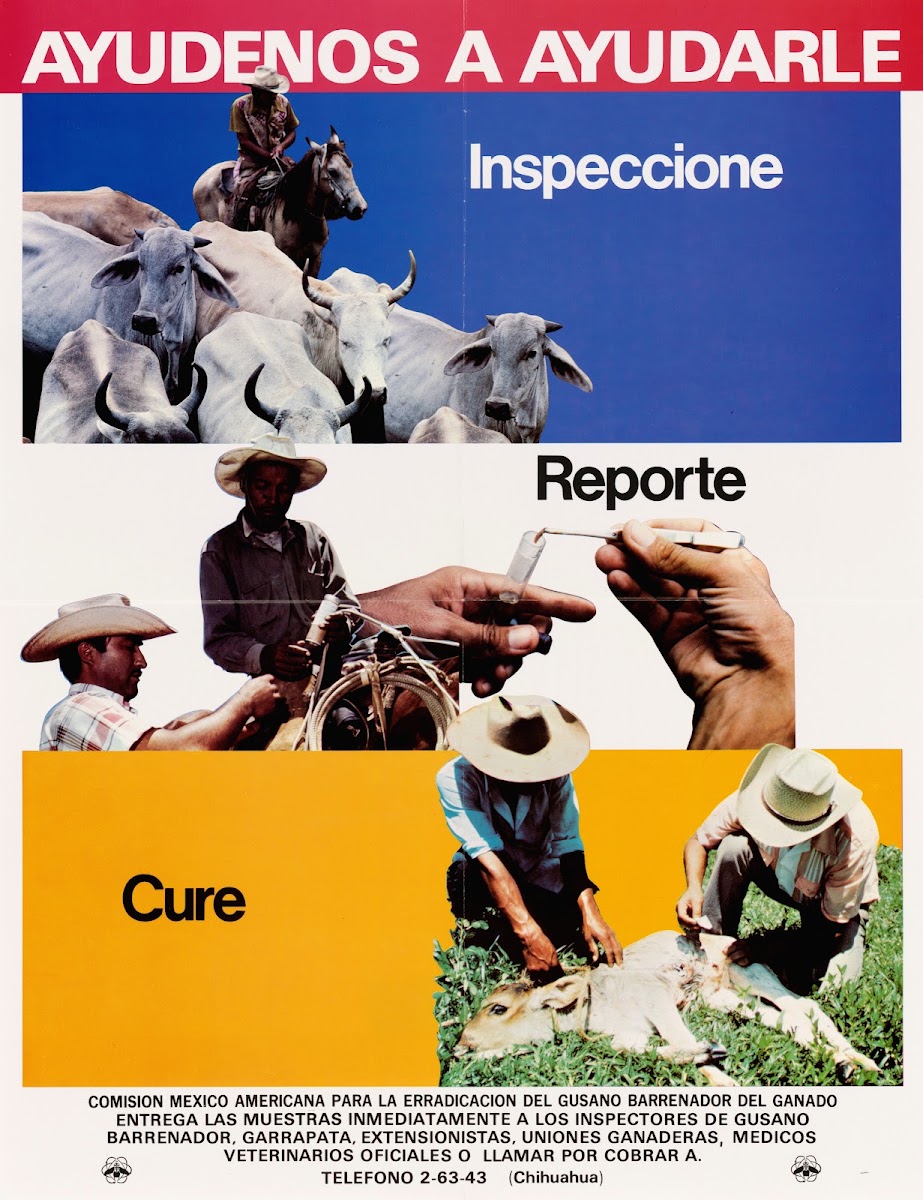 Ayudenos A Ayudarle Inspeccione Reporte Cure