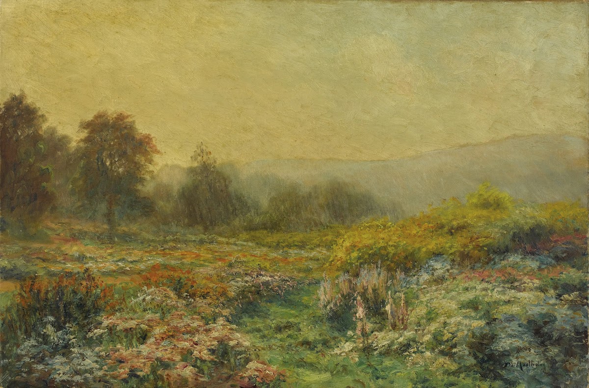 Summer Landscape