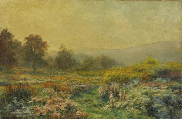 Summer Landscape