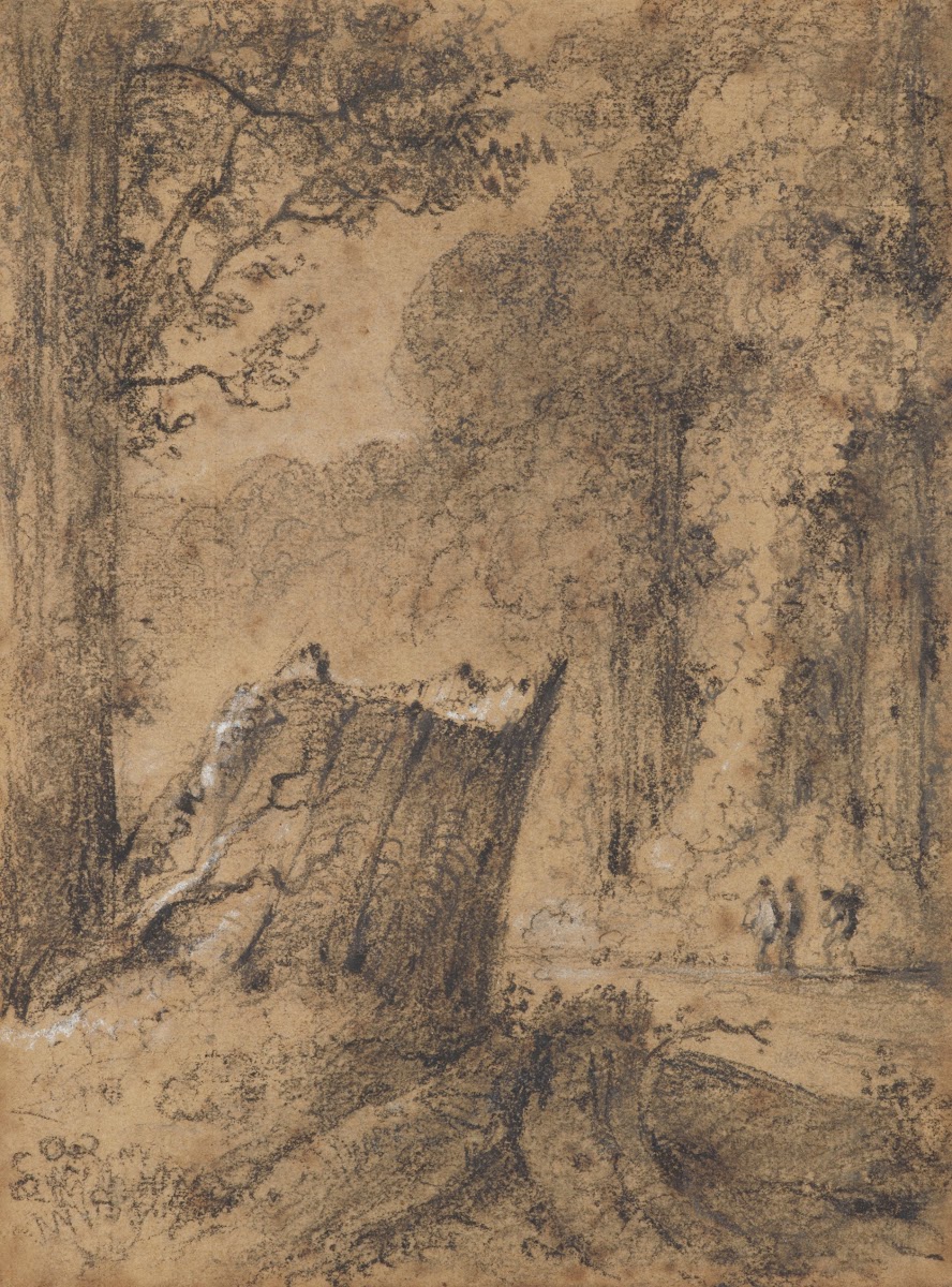 Road through the Hutt Forest NZ 1846