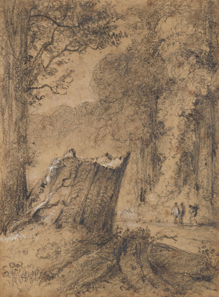 Road through the Hutt Forest NZ 1846