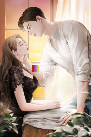 Phong Bao Nghịch Cảnh