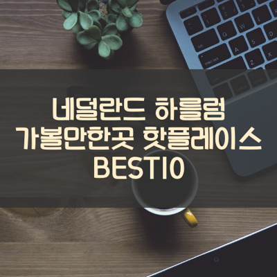 네덜란드 하를럼 가볼만한곳 핫플레이스 BEST10 썸네일