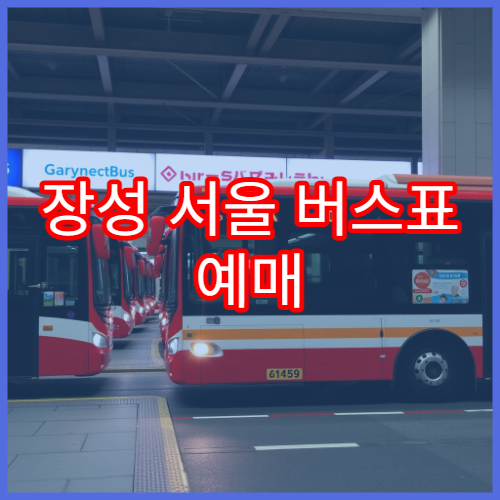 장성 서울 버스표 예매 일정과 취소표 알림 등록 방법