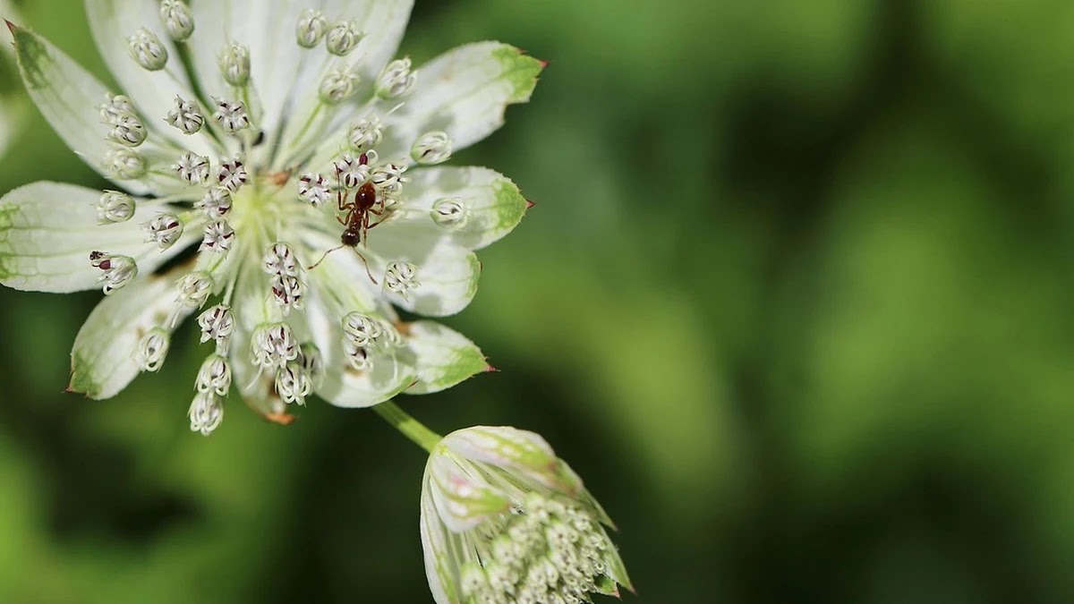 통신비 절감, 알뜰폰과 기존 통신사 요금제 차이점 분석