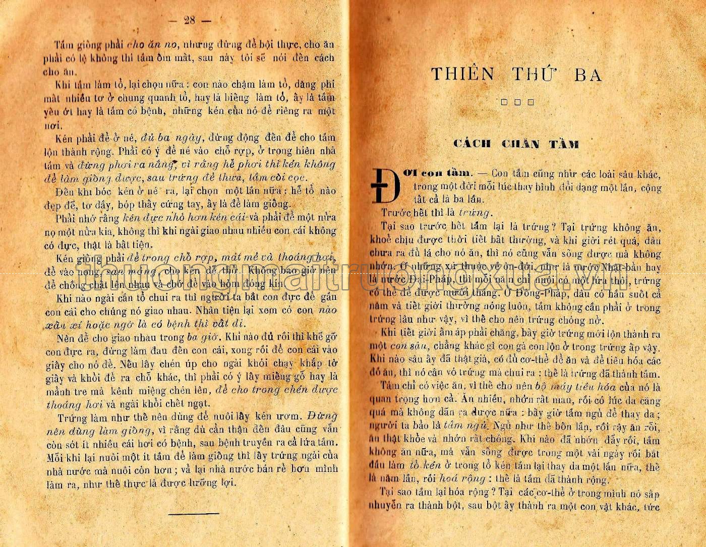 Sách dạy chăn tằm (1926) - Trang 15