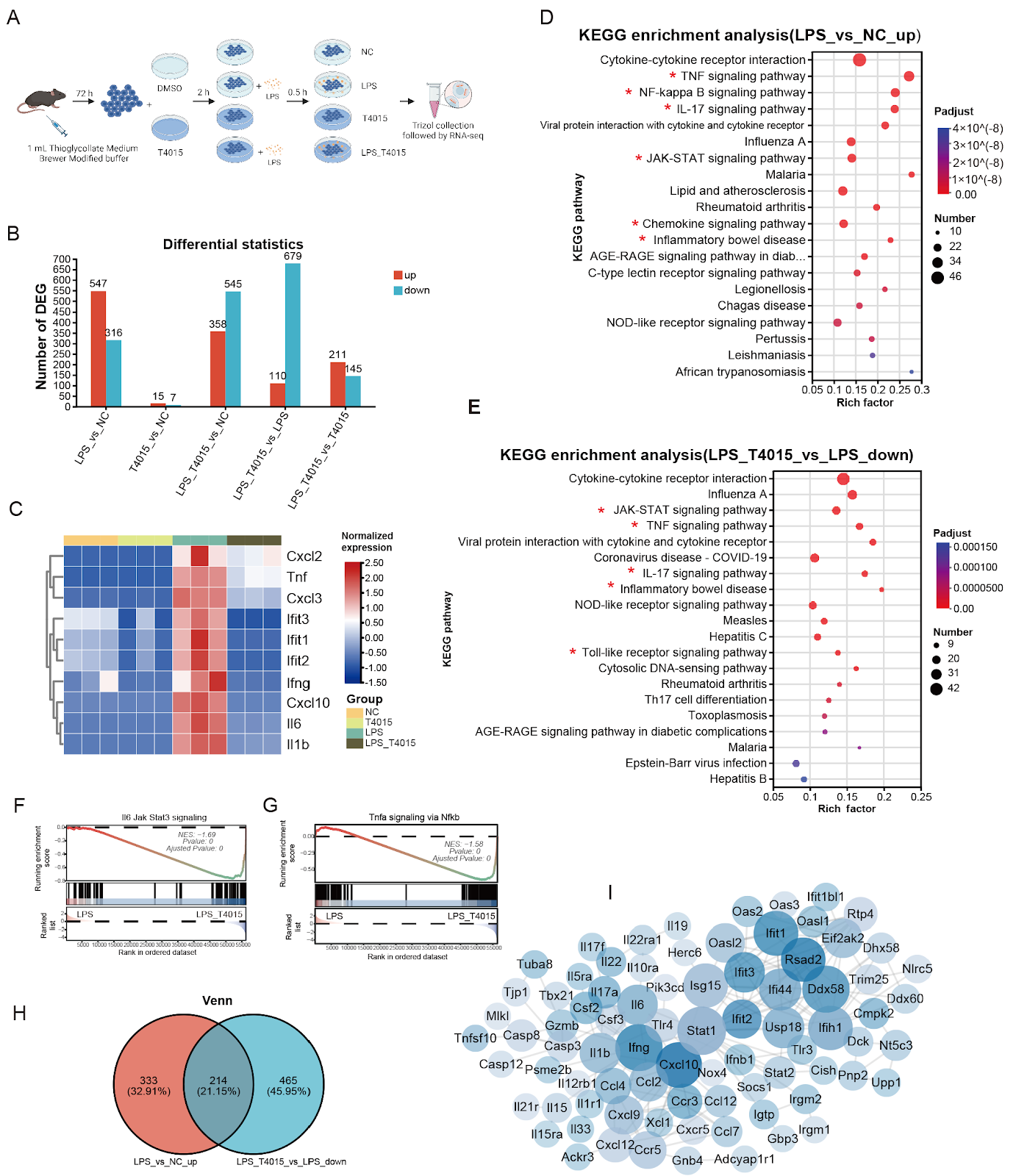 Scaffold Compound T4015 Attenuates Pulmonary Fibrosis via Suppressing JAK/STAT and NF-κB Signaling