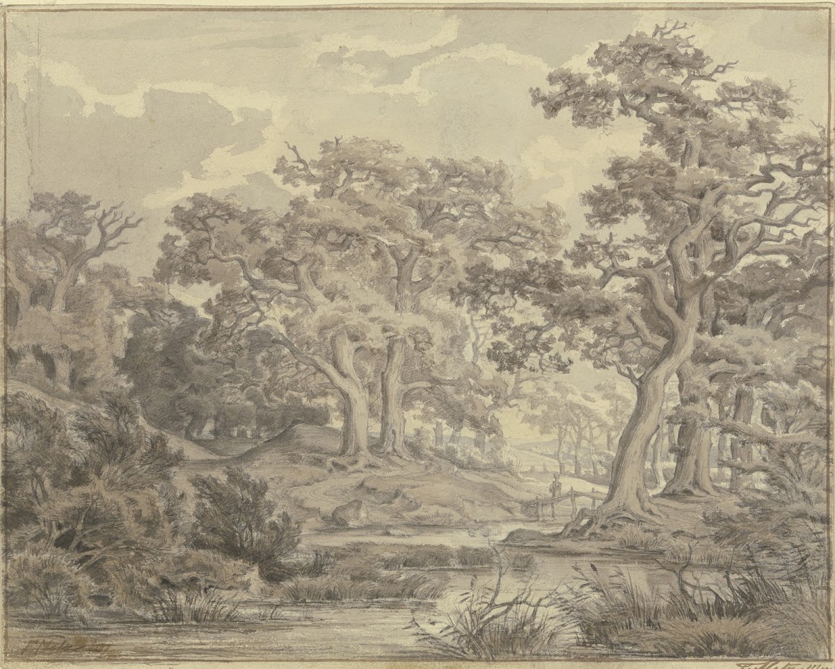 Schilfweiher zwischen Eichen 1843