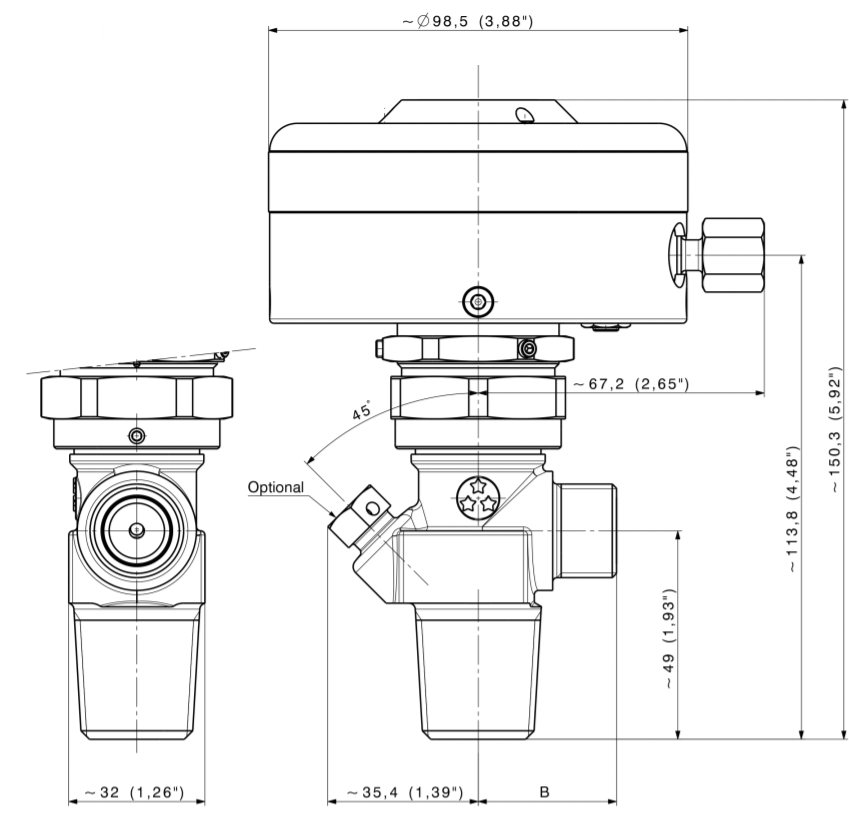 D131 Pneumatic Actuated Valve For Corrosive Gases.