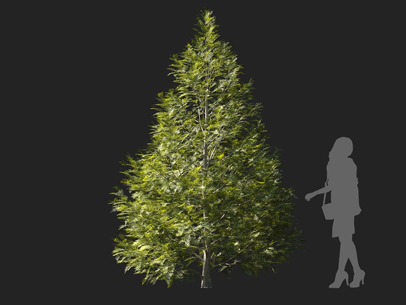 Maxtree - Plant Models Vol.122