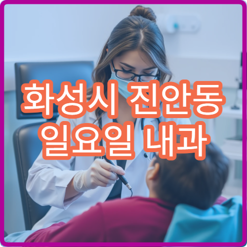 화성시 진안동 일요일 내과 병원 안내 주말 문 여는 내과 확인