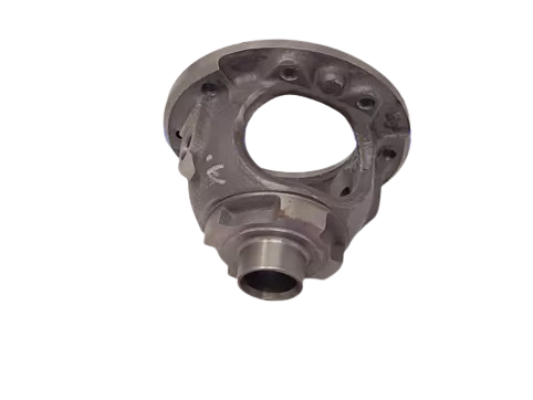 DIFFERENTIAL CASE