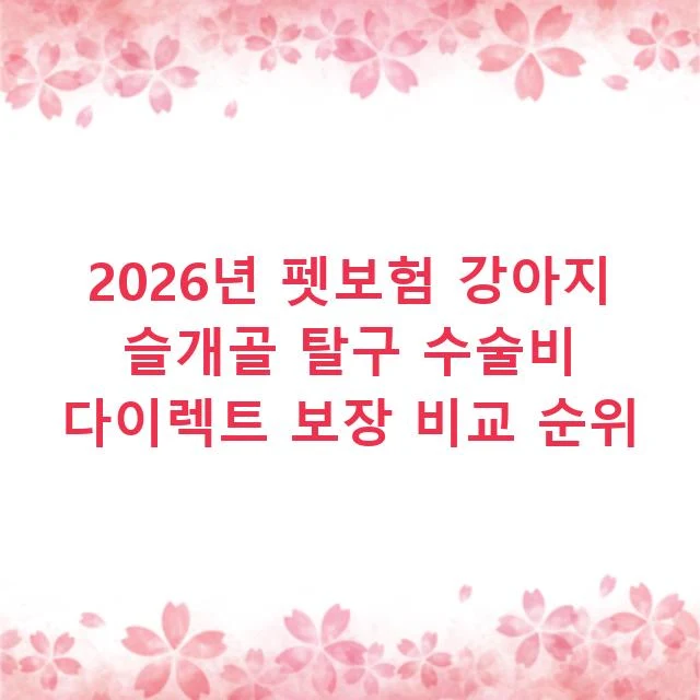2026년 펫보험 강아지 슬개골 탈구 수술비 다이렉트 보장 비교 순위