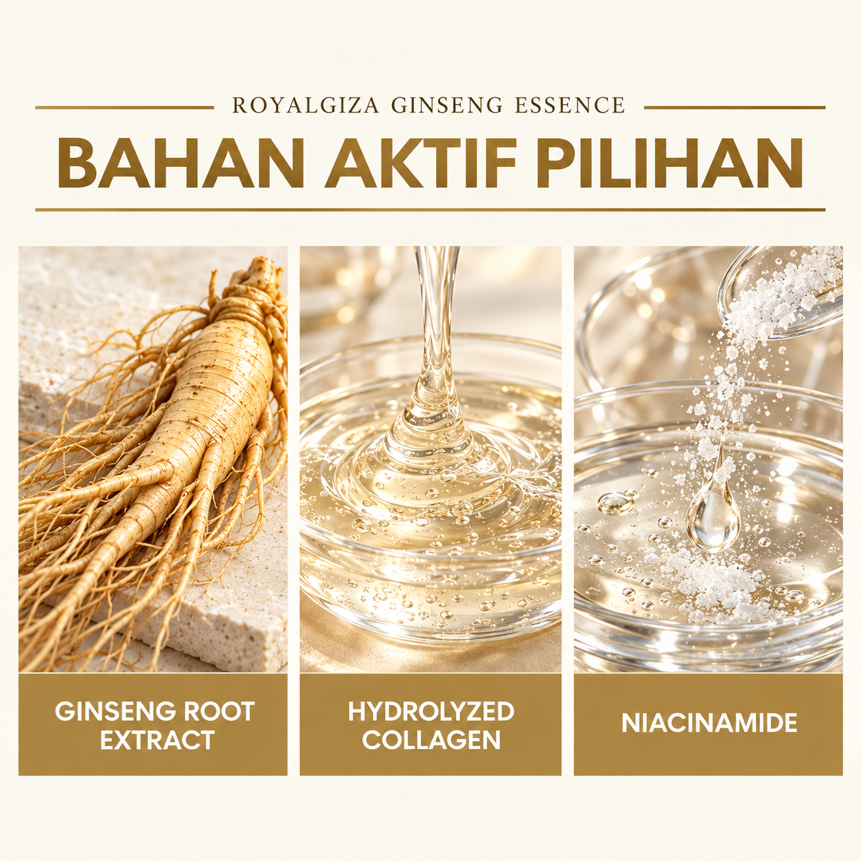 ROYALGIZA Ginseng Essence 7