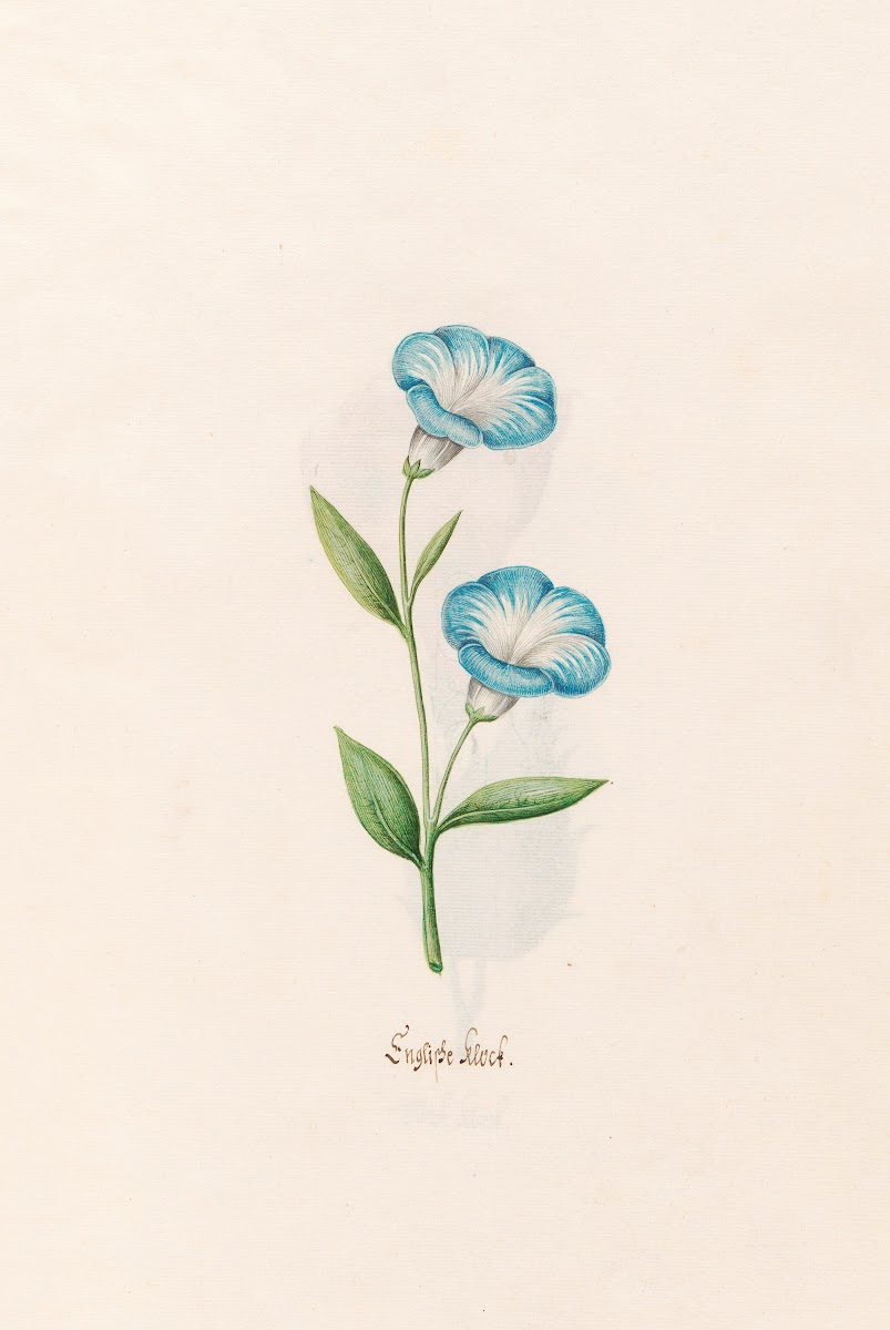 Englishe klock 1692