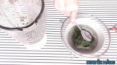 Lá dứa mình sẽ rửa sạch sau đó cho vào máy xay sinh tố, cho 100ml nước xay nhuyễn ra, sau đó rây ra lấy nước.