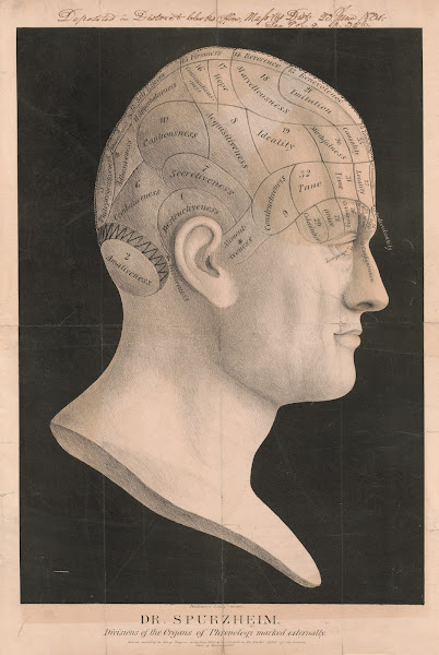 Dr Spurzheimdivisions of the organs of phrenology marked externally 1834