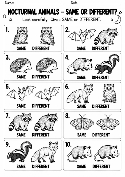 Nocturnal Animal Same or Different Worksheet