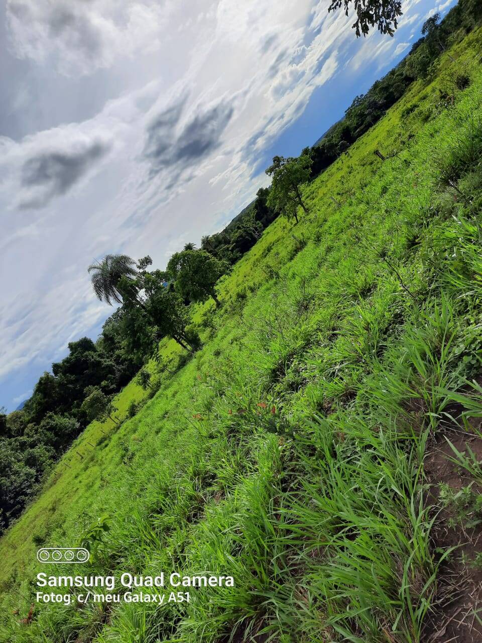 Fazenda em Formoso-GO 2