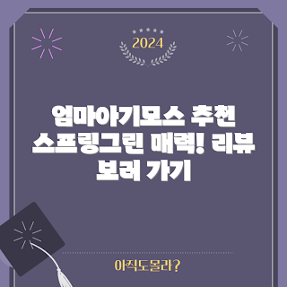 스칸디아모스 화분, 스프링그린 리뷰, 테라리아 식물, 실내 식물, 2023 인테리어 트렌드