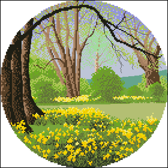 CMP JC241 Daffodil Wood