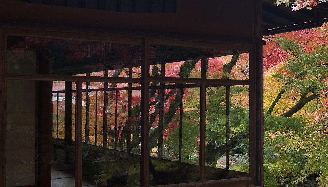 紅葉　宝厳院