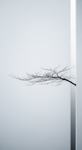 Corner Tree Silhouette