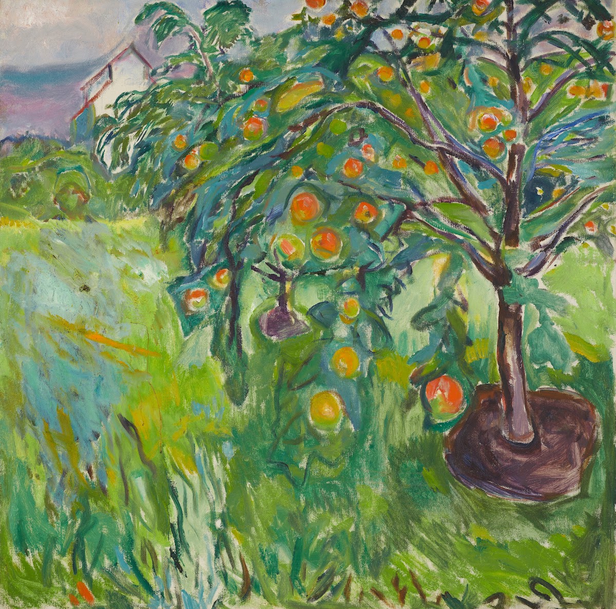 Apple Tree By The Studio 1920 28