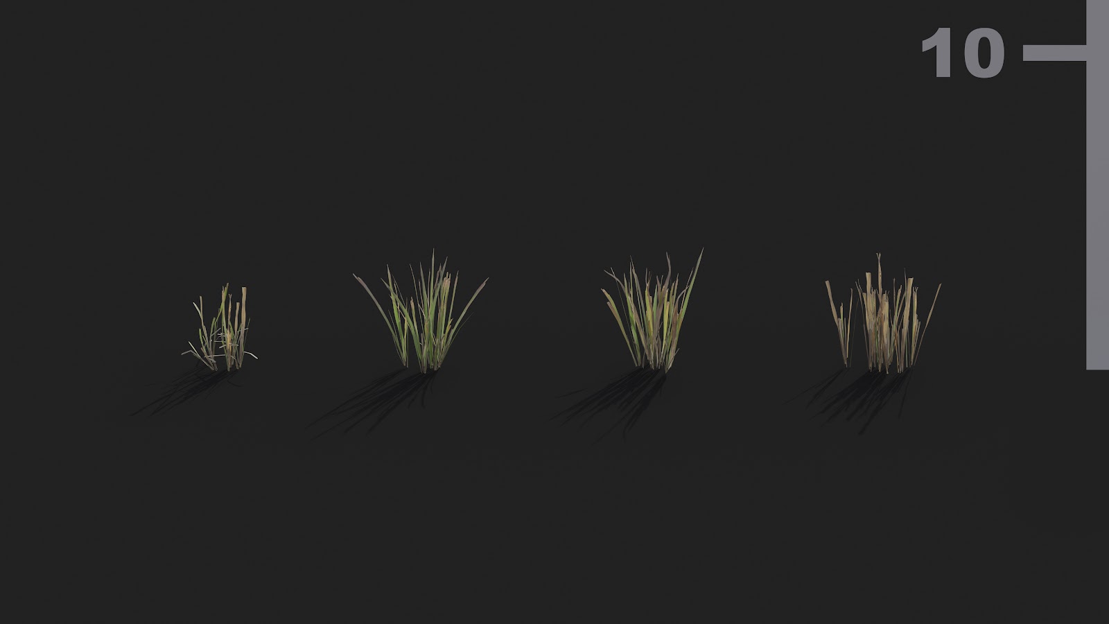Maxtree - Plant Models Vol.21