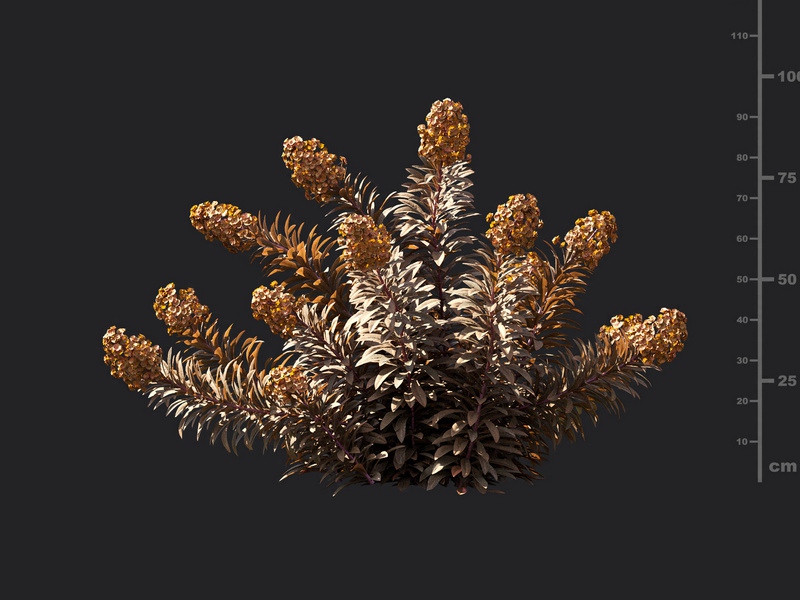 Maxtree - Plant Models Vol.119
