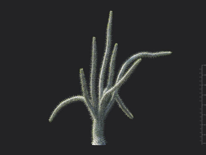 Maxtree - Plant Models Vol.130